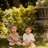 Brown Striped Trousers