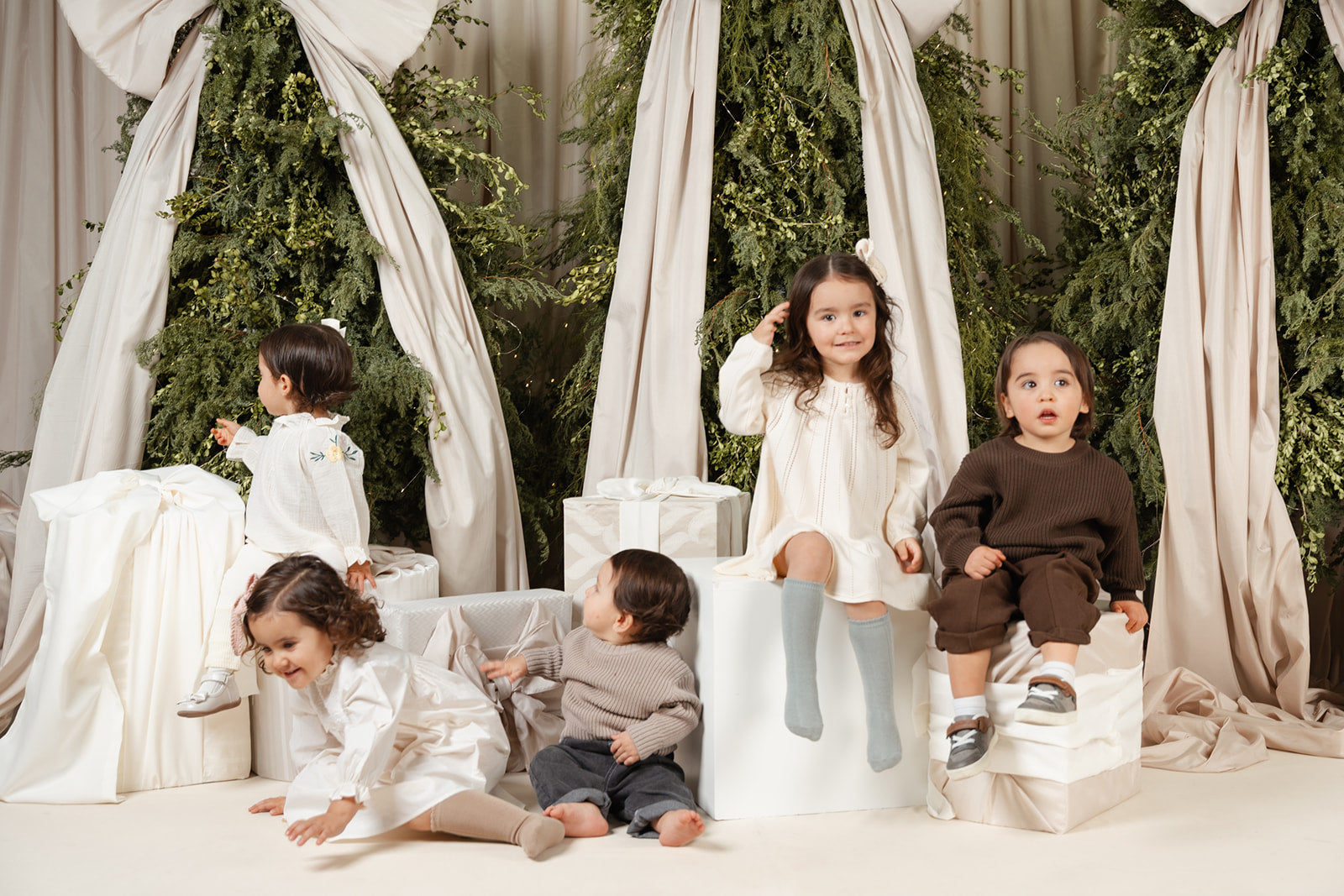 The Special Occassion